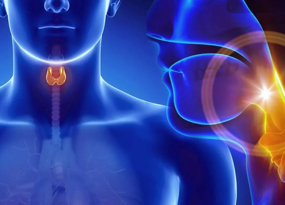 Endocrinologia